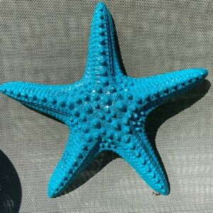 Starfish wall decor